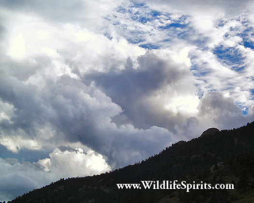 Click Picture to send as an  E-PostCard 52k 525x420